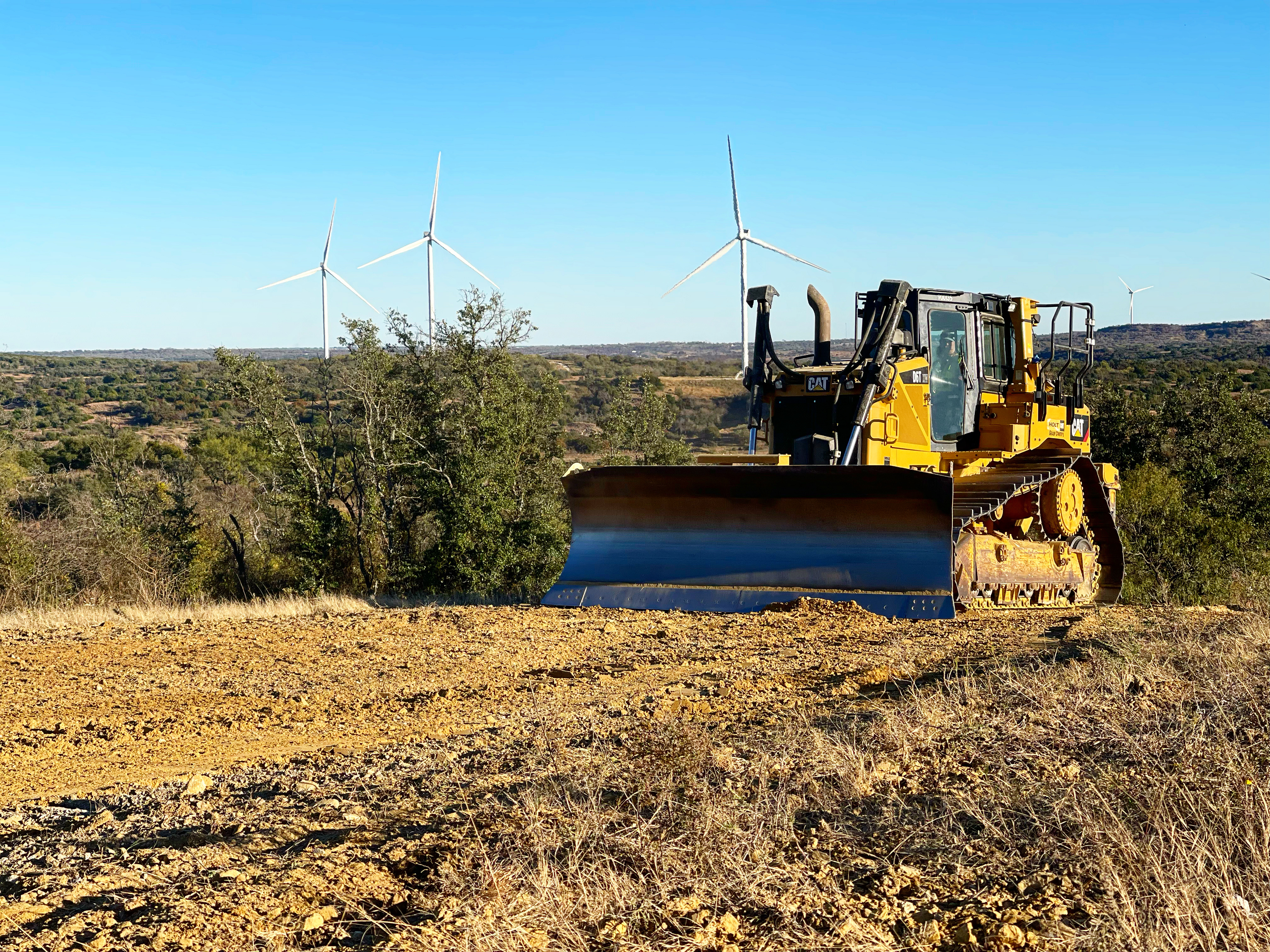 Cedar Tree Removal Underbrush Clearing Land Clearing Texas